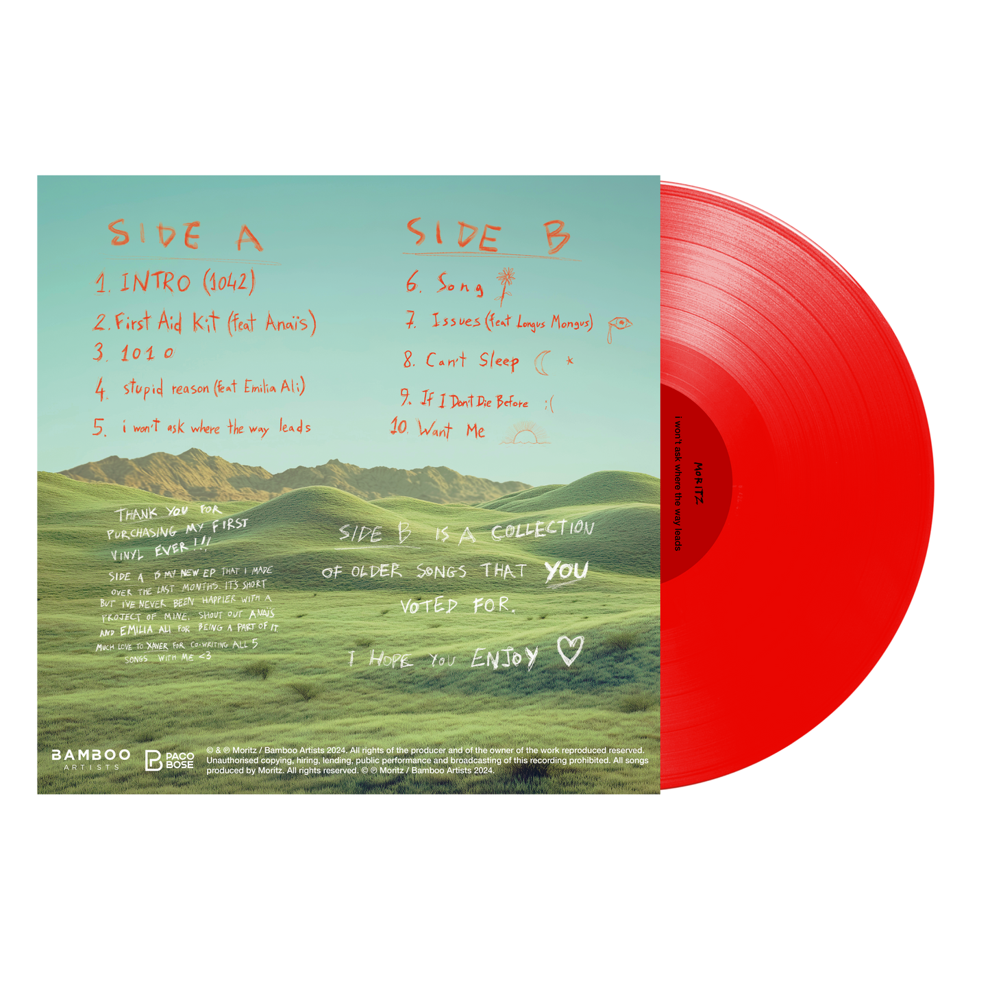 i won't ask where the way leads - Vinyl (transparent red)